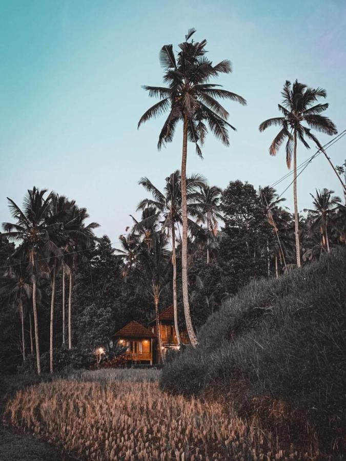 Uma D'Nyuh Homestay 싱가라자 외부 사진