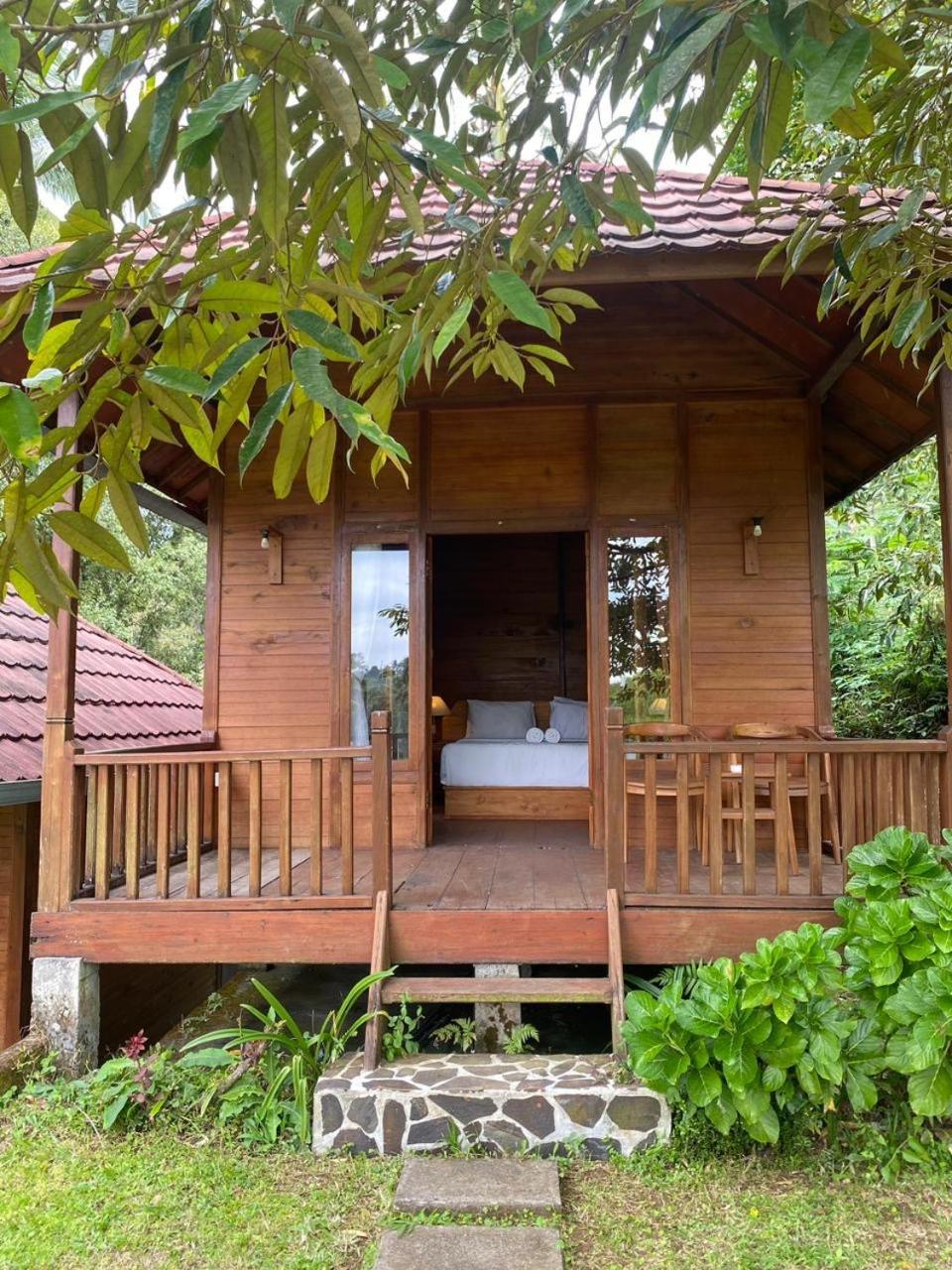 Uma D'Nyuh Homestay 싱가라자 외부 사진