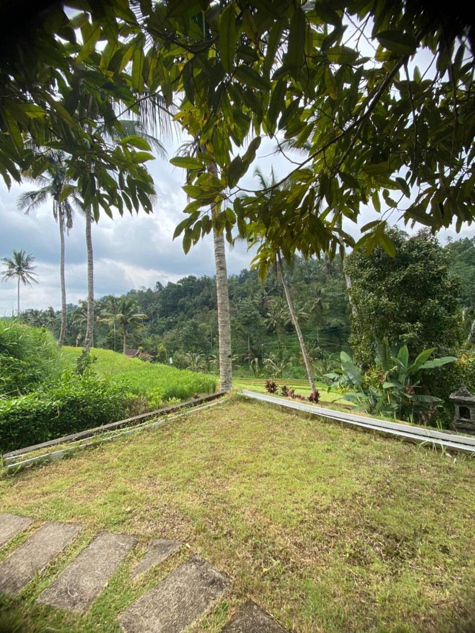 Uma D'Nyuh Homestay 싱가라자 외부 사진