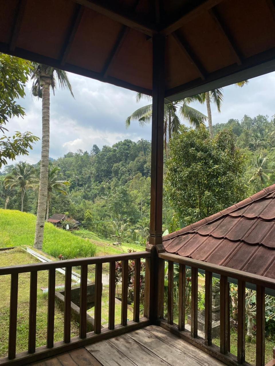 Uma D'Nyuh Homestay 싱가라자 외부 사진
