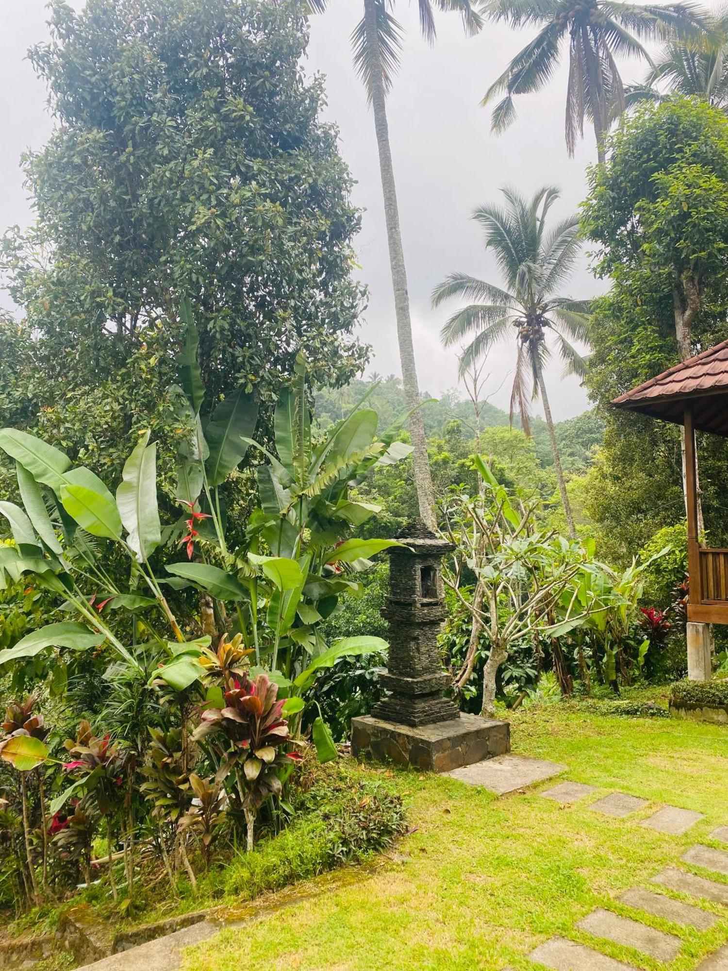 Uma D'Nyuh Homestay 싱가라자 외부 사진